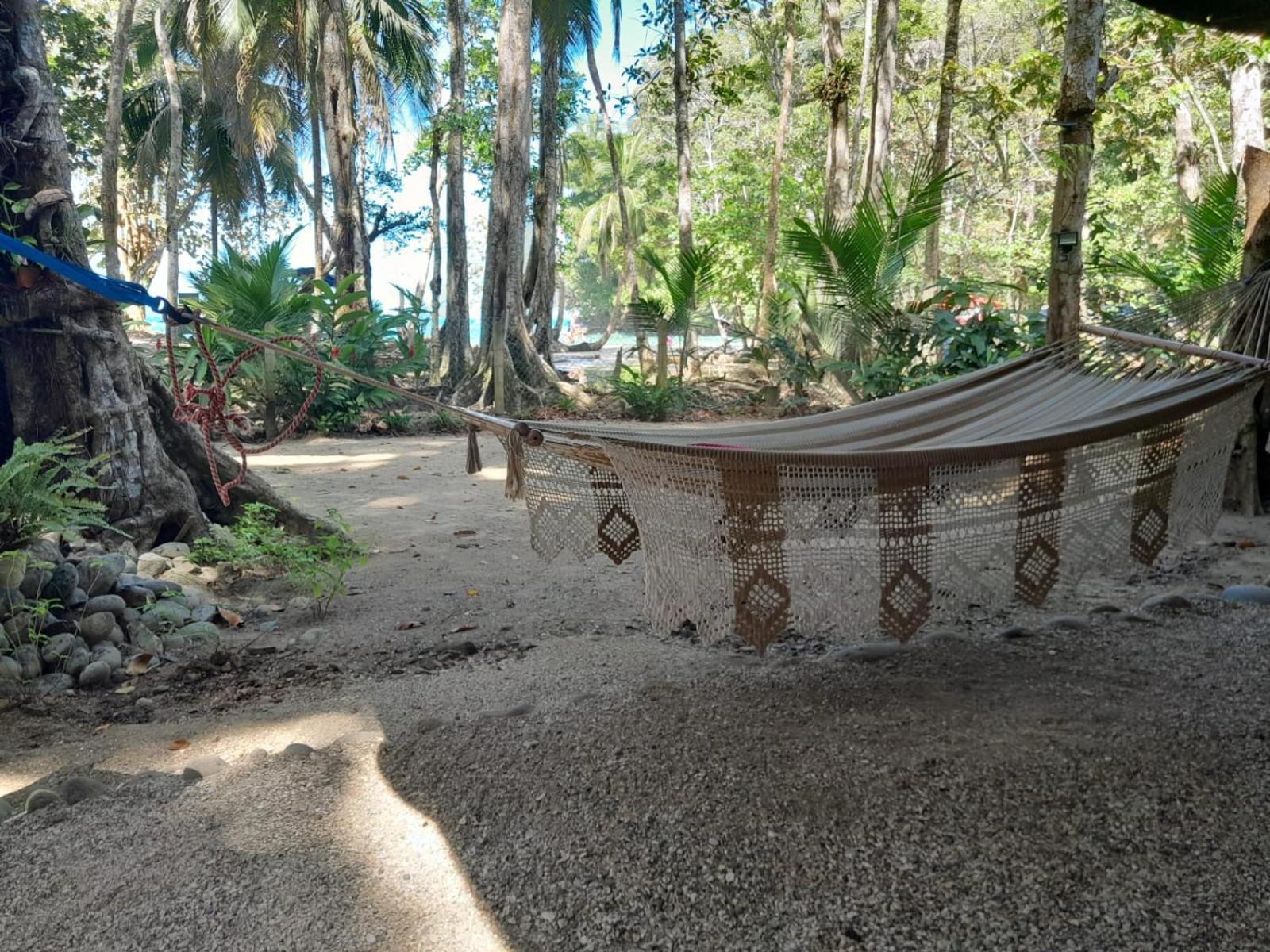 Beachfront Apartment Punta Uva Bagian luar foto
